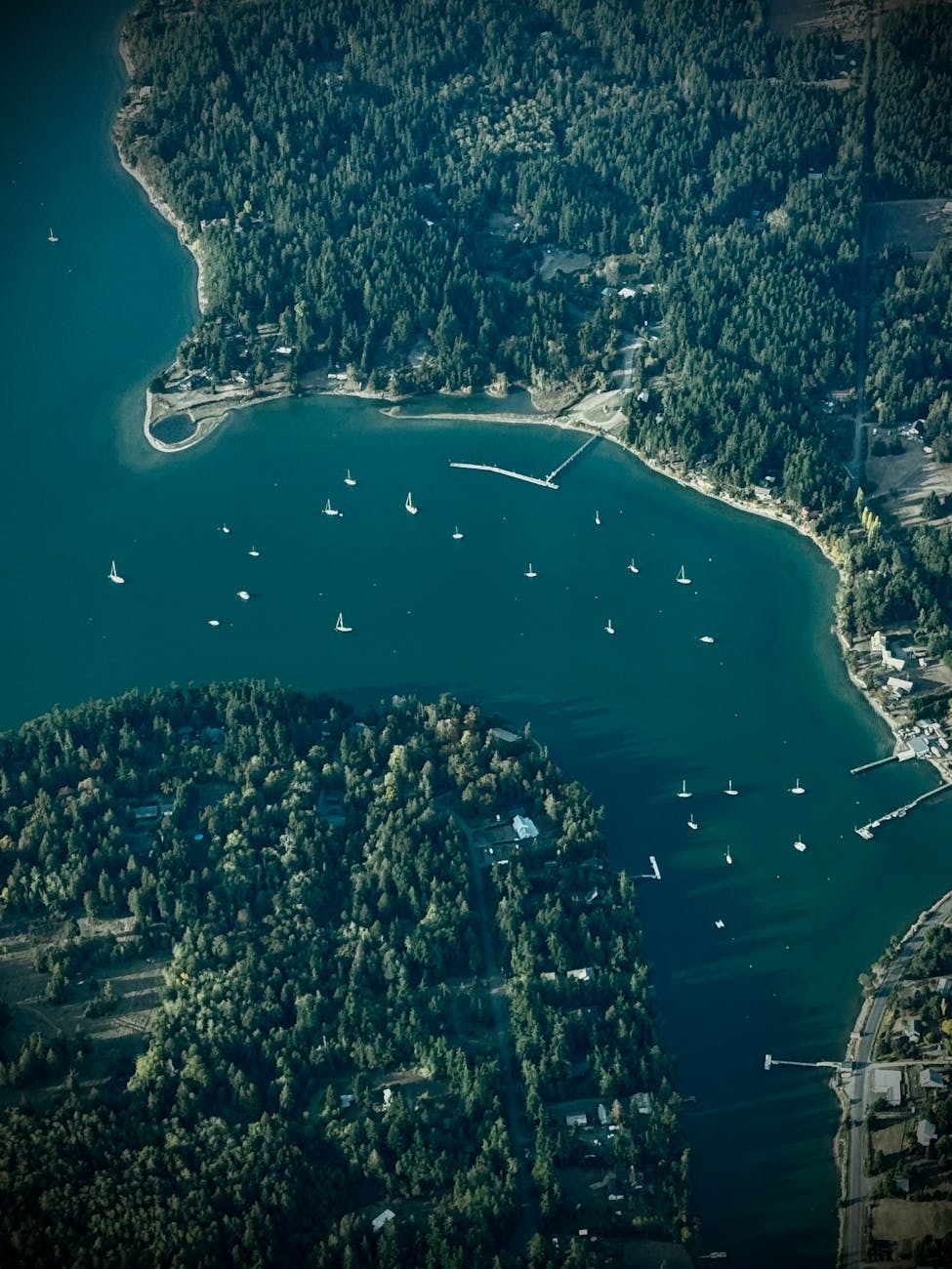 Earth Day Messages & Greetings 2025