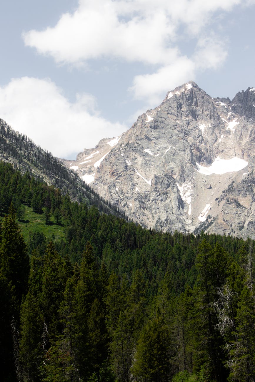 International Mountain Day Conservation & Adventure 2025