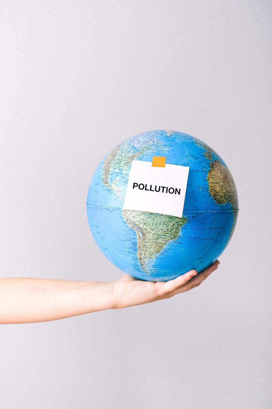 World Bee Day Messages & Environmental Awareness 2025